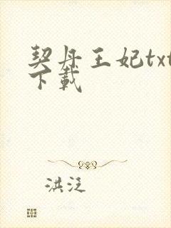 契丹王妃txt下载