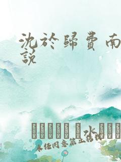 沈于归费南城小说