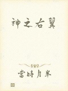 神之右翼