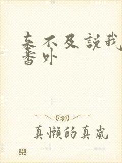 来不及说我爱你番外