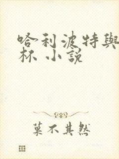 哈利波特与火焰杯 小说