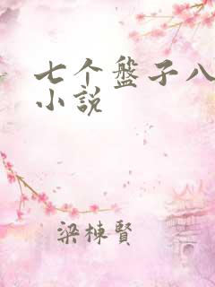 七个盘子八个碗小说