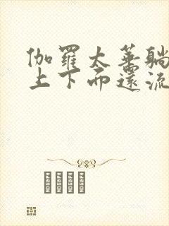 伽罗太华躺在床上下面还流东西