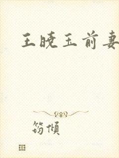 王晓玉前妻