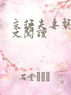 交换夫妻系列全文阅读