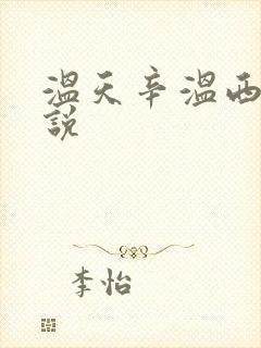 温天辛温西离小说