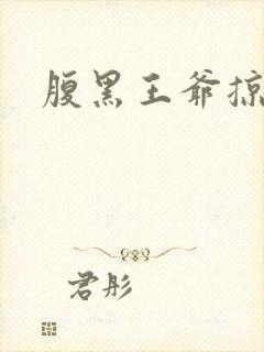 腹黑王爷掠邪妃