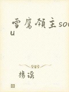雪鹰领主sodu