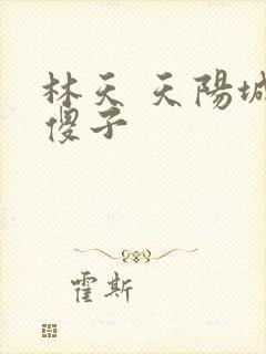 林天 天阳城 傻子