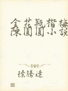 金花瓶楷梅花2陈圆圆小说