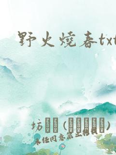野火烧春txt
