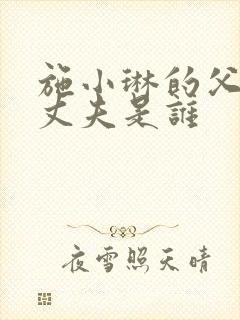 施小琳的父亲和丈夫是谁