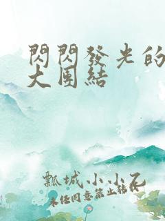 闪闪发光的小说大团结