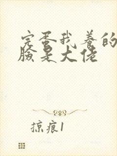 完蛋我养的小白脸是大佬