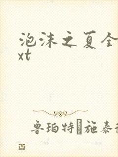 泡沫之夏全集txt