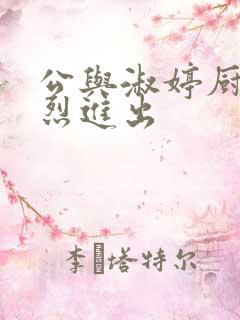 公与淑婷厨房猛烈进出