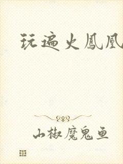 玩遍火凤凰队员