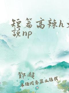 短篇高辣h文小说np