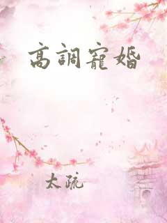 高调宠婚