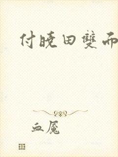 付晓田双面间谍