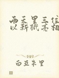 两天里三位将军以新职亮相