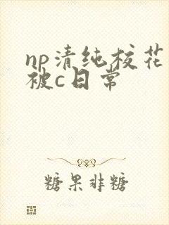 np清纯校花的被c日常