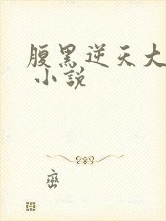 腹黑逆天大小姐 小说