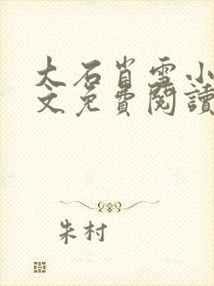 大石肖雪小说全文免费阅读