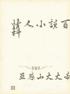 情人小说百度百科