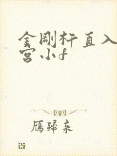 金刚杵直入莲花宫小f