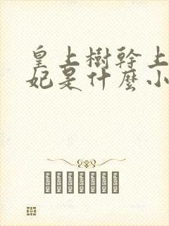 皇上树干上太子妃是什么小说