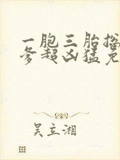 一胞三胎总裁爹爹超凶猛免费阅读