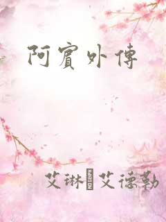 阿宾外传