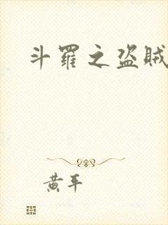 斗罗之盗贼
