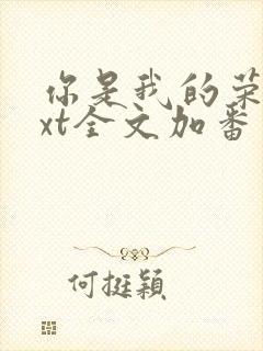 你是我的荣耀txt全文加番外