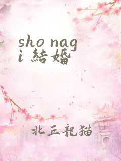 sho nagi 结婚