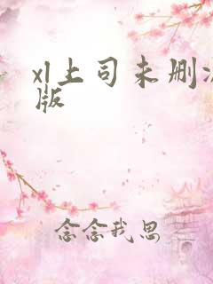 xl上司未删减版