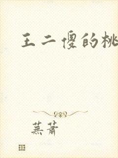 王二傻的桃花运