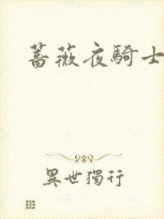 蔷薇夜骑士