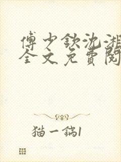 傅少钦沈湘小说全文免费阅读无广告