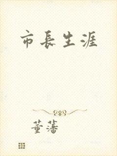 市长生涯