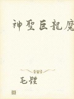 神圣巨龙魔法师