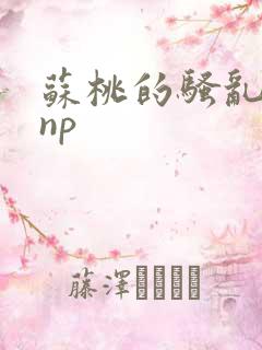 苏桃的骚乱文肉np