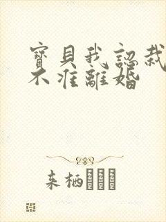 宝贝我认栽老婆不准离婚