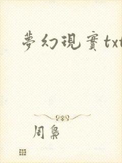 梦幻现实txt