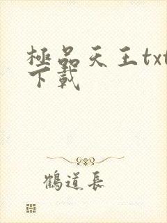 极品天王txt下载