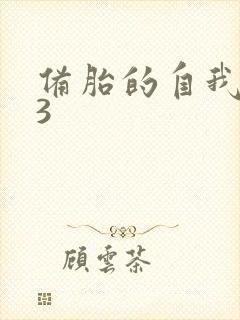 备胎的自我修养3