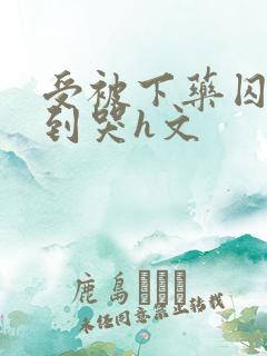 受被下药囚禁脔到哭h文