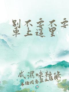 别不要不要在公车上这里