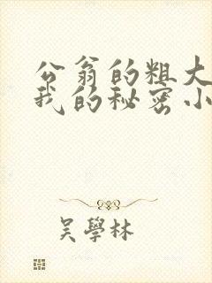 公翁的粗大放进我的秘密小说